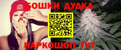 дживик Дубна