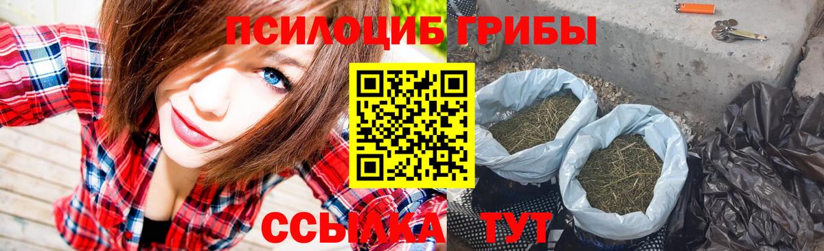 где купить   Псилоцибиновые грибы Magic Shrooms  Вход с VPN  Назарово 