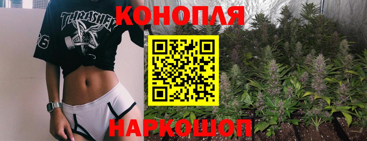 Конопля план Назарово